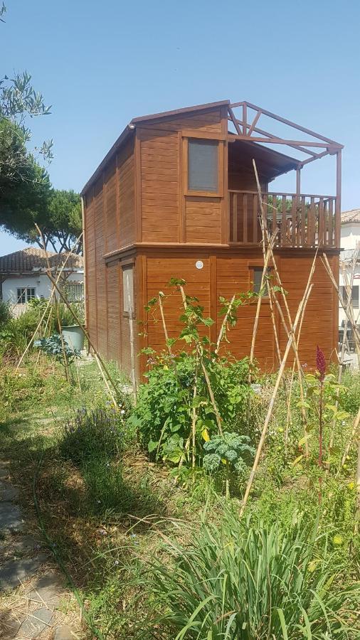 Casa De Madera De Sancti Petri Villa Chiclana de la Frontera Dış mekan fotoğraf